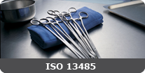 ISO 13485 Consultants in Goa