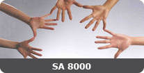 SA 8000 Consultants in Goa
